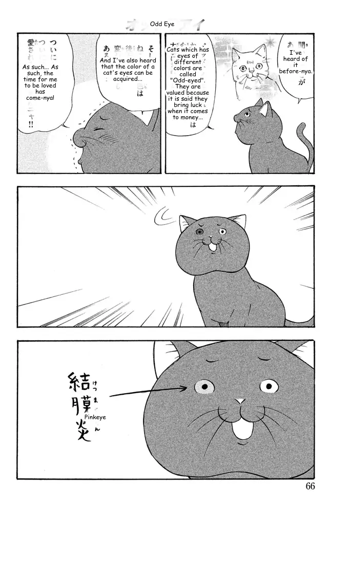 It's Really There! Reibai Sensei - Chapter 25 - Page 8
