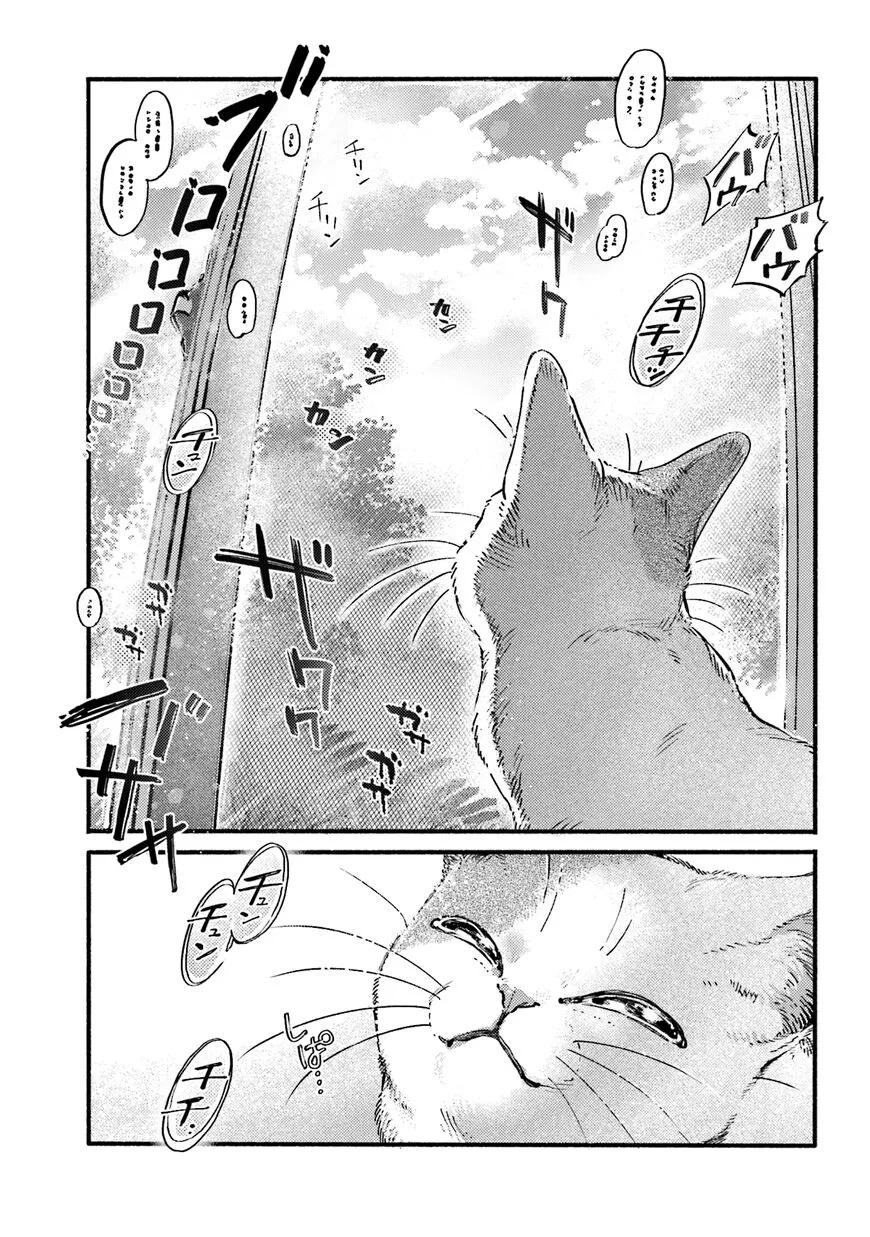 NekoDamari - Chapter 39 - Page 7
