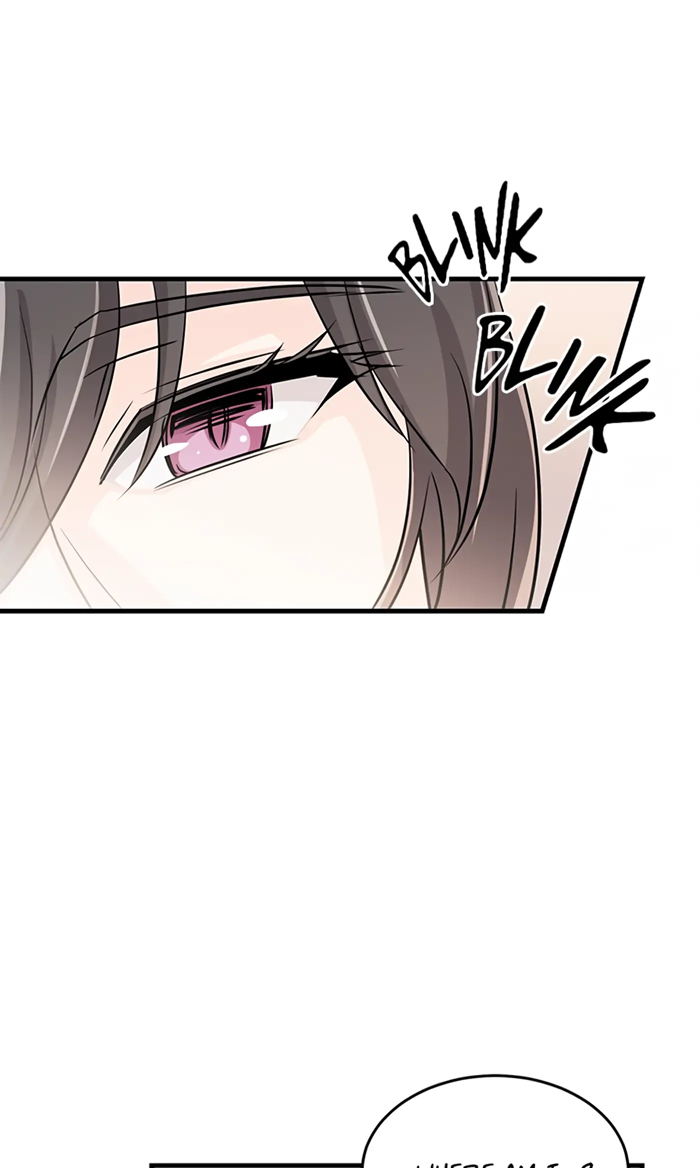 When I Opened My Eyes, I Had Become The Devil - Chapter 27 - Page 27